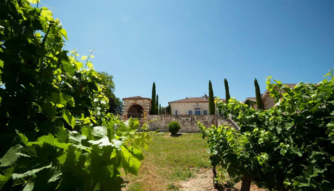 Agroforesterie : le Château Labastide Orliac, un domaine engagé dans le Sud-Ouest !